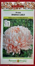 Семена Цветы, Астра, Янина Сиел, 0.3 г, цветная упаковка, Русский огород - фото 4 от пользователя