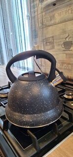 Чайник нержавеющая сталь, 3 л, со свистком, матовый, ручка с силиконовым покрытием, Daniks, черный, MSY-A059 - фото 3 от пользователя