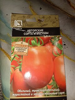 Семена Томат, Аделина, 0.1 г, цветная упаковка, Поиск - фото 5 от пользователя