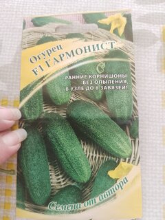 Семена Огурец, Гармонист F1, Семена от автора, цветная упаковка, Гавриш - фото 9 от пользователя