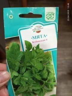Семена Мята, Кубанская 6, 0.05 г, цветная упаковка, Гавриш - фото 7 от пользователя