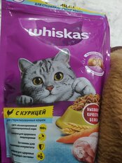 Корм для животных Whiskas, 350 г, для стерилизованных кошек 1+, сухой, курица, подушечки, коробка, 10139171 - фото 1 от пользователя