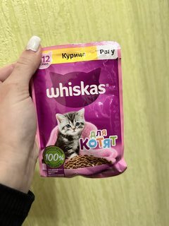 Корм для животных Whiskas, 75 г, для котят, 1-12 месяцев, рагу, курица, пауч, G8480 - фото 1 от пользователя