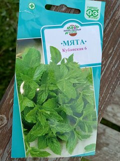 Семена Мята, Кубанская 6, 0.05 г, цветная упаковка, Гавриш - фото 9 от пользователя