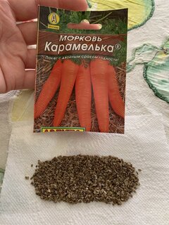 Семена Морковь, Карамелька, 2 г, цветная упаковка, Аэлита - фото 9 от пользователя