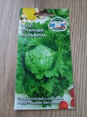 Семена Салат кочанный, Мальвина, цветная упаковка, Седек - фото 1 от пользователя