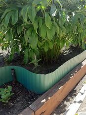 Лента бордюрная для газонов, пластмасса, 20х900 см, обрамление клумб, газонов, грядок, зеленая, Волна - фото 8 от пользователя
