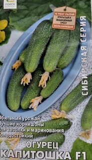 Семена Огурец, Капитошка F1, Сибирская, цветная упаковка, Поиск - фото 9 от пользователя