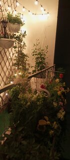 Краска воднодисперсионная, Русские узоры, акриловая, для потолков, матовая, белоснежная, 3 кг - фото 9 от пользователя