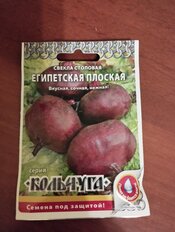 Семена Свекла, Египетская плоская, 3 г, Кольчуга, цветная упаковка, Русский огород - фото 4 от пользователя