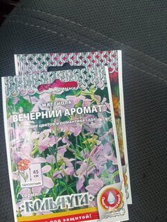 Семена Цветы, Маттиола, Вечерний аромат, 0.3 г, Кольчуга, цветная упаковка, Русский огород - фото 7 от пользователя