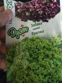Семена Салат, Дуэт, 0.5 г, Семена от автора, Ералаш + Забава 0.5 г, цветная упаковка, Гавриш - фото 1 от пользователя