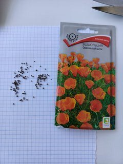 Семена Цветы, Эшшольция, Оранжевый шёлк, 0.2 г, цветная упаковка, Поиск - фото 2 от пользователя