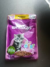 Корм для животных Whiskas, 75 г, для котят, 1-12 месяцев, рагу, курица, пауч, G8480 - фото 4 от пользователя