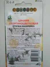 Семена Цветы, Цинния, Птичка канарейка, 0.4 г, георгиноцветковая, цветная упаковка, Поиск - фото 8 от пользователя