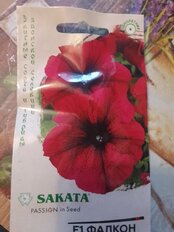 Семена Цветы, Петуния, Фалкон Бургунди, 0.1 г, 5 шт, крупноцветковые, цветная упаковка, Гавриш - фото 5 от пользователя