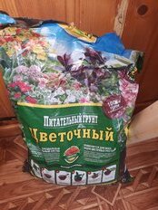 Грунт Цветочный, для комнатных растений, 5 л, Фаско - фото 6 от пользователя