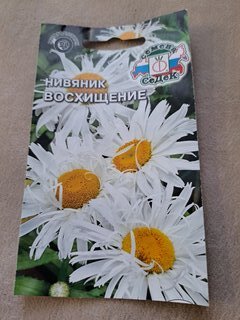 Семена Цветы, Нивяник, Восхищение, 0.1 г, цветная упаковка, Седек - фото 6 от пользователя