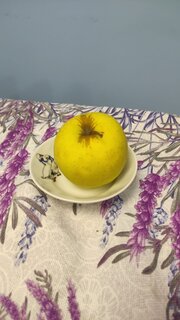 Блюдце фарфор, 10.5 см, круглое, Гуси, Добрушский фарфоровый завод, 4С1459Ф34 - фото 7 от пользователя