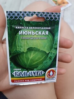 Семена Капуста белокочанная, Июньская, 0.5 г, Кольчуга, цветная упаковка, Русский огород - фото 1 от пользователя