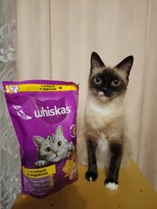 Корм для животных Whiskas, 800 г, для взрослых кошек 1+, сухой, курица/индейка, подушечки с паштетом, пакет - фото 9 от пользователя