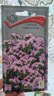 Семена Цветы, Статица, Суприм розовая, 0.15 г, цветная упаковка, Поиск - фото 1 от пользователя