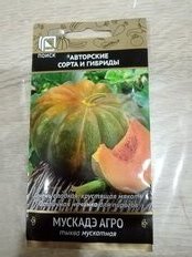 Семена Тыква, Мускадэ Агро, 10 шт, мускатная, цветная упаковка, Поиск - фото 2 от пользователя