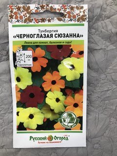 Семена Цветы, Тунбергия, Черноглазая Сюзанна, 0.3 г, Зеленый дом, цветная упаковка, Русский огород - фото 9 от пользователя