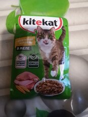 Корм для животных Kitekat, 85 г, для кошек, курица в желе, пауч - фото 6 от пользователя