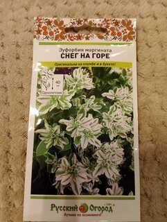 Семена Цветы, Эуфорбия маргината, Снег на горе, 0.5 г, цветная упаковка, Русский огород - фото 4 от пользователя