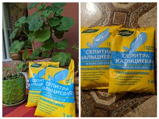 Удобрение Селитра кальциевая, порошок, 1 кг, БХЗ - фото 9 от пользователя