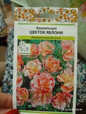 Семена Цветы, Эшшольция, Цветок Яблони, 0.1 г, цветная упаковка, Русский огород - фото 5 от пользователя