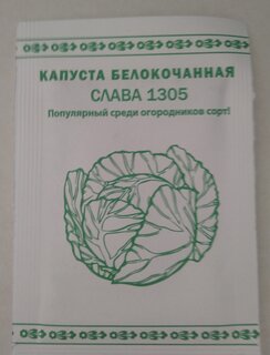 Семена Капуста белокочанная, Слава 1305, 0.3 г, Первая цена, белая упаковка, Русский огород - фото 5 от пользователя