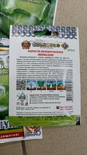 Семена Капуста белокочанная, Июньская, 0.5 г, Кольчуга, цветная упаковка, Русский огород - фото 2 от пользователя