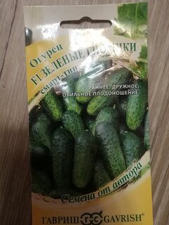 Семена Огурец, Зеленые гномики F1, Семена от автора, мини пикуль, смарт-тип, цветная упаковка, Гавриш - фото 3 от пользователя