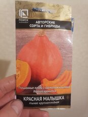 Семена Тыква крупноплодная, Красная малышка, цветная упаковка, Поиск - фото 5 от пользователя