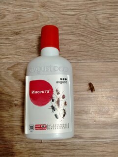 Инсектицид Insecta, от различных видов насекомых, жидкость, 100 мл, Avgust - фото 1 от пользователя
