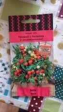 Семена Томат, Беби, 5 шт, Четыре лета, цветная упаковка, Поиск - фото 1 от пользователя