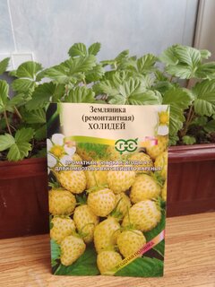 Семена Земляника, Холидей, 0.03 г, цветная упаковка, Гавриш - фото 9 от пользователя