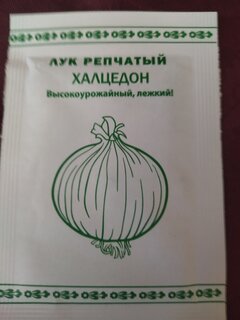 Семена Лук репчатый, Халцедон, 0.5 г, Первая цена, белая упаковка, Русский огород - фото 3 от пользователя