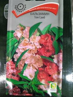 Семена Цветы, Бальзамин, Том Самб, 0.1 г, цветная упаковка, Поиск - фото 2 от пользователя