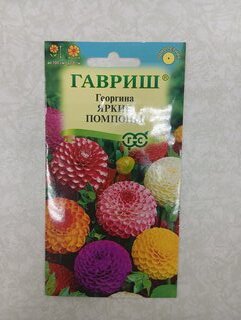 Семена Цветы, Георгина, Яркие помпоны, 0.2 г, Цветочная коллекция, цветная упаковка, Гавриш - фото 2 от пользователя