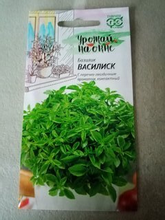 Семена Базилик, Василиск, 0.1 г, Урожай на окне, цветная упаковка, Гавриш - фото 4 от пользователя