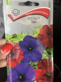 Семена Цветы, Петуния, Вера, 0.1 г, цветная упаковка, Поиск - фото 8 от пользователя