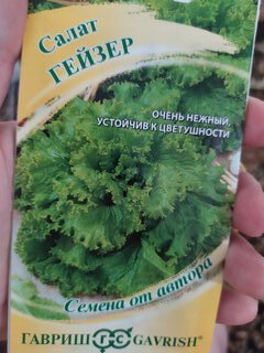 Семена Салат листовой, Гейзер, 0.5 г, цветная упаковка, Гавриш - фото 7 от пользователя