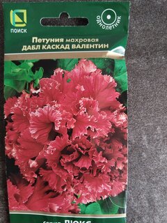 Семена Цветы, Петуния, Дабл каскад Валентин, махровая, цветная упаковка, Поиск - фото 2 от пользователя