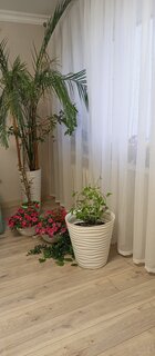 Горшок для цветов пластик, 50 л, 46х45 см, белый, Idea, Дюна, М 3403 - фото 9 от пользователя