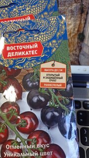 Семена Томат, Черный дракон F1, цветная упаковка, Поиск - фото 7 от пользователя